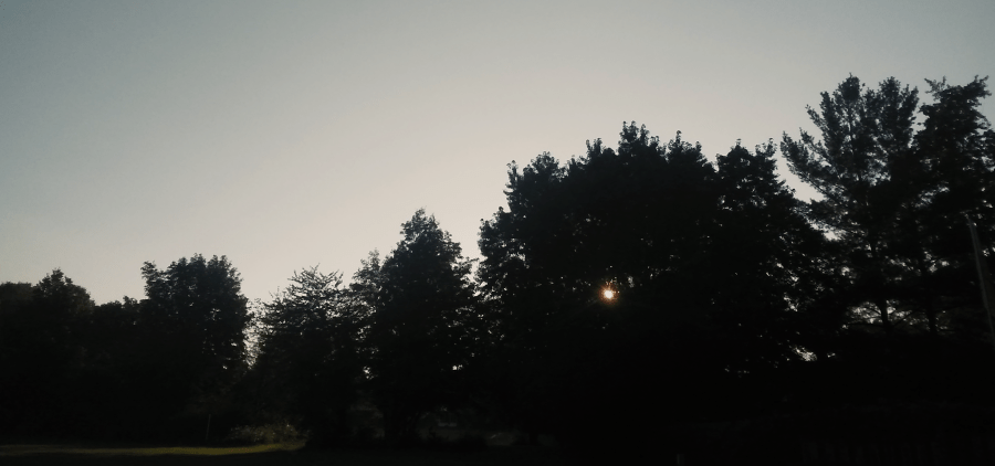 苟日新又日新日日新