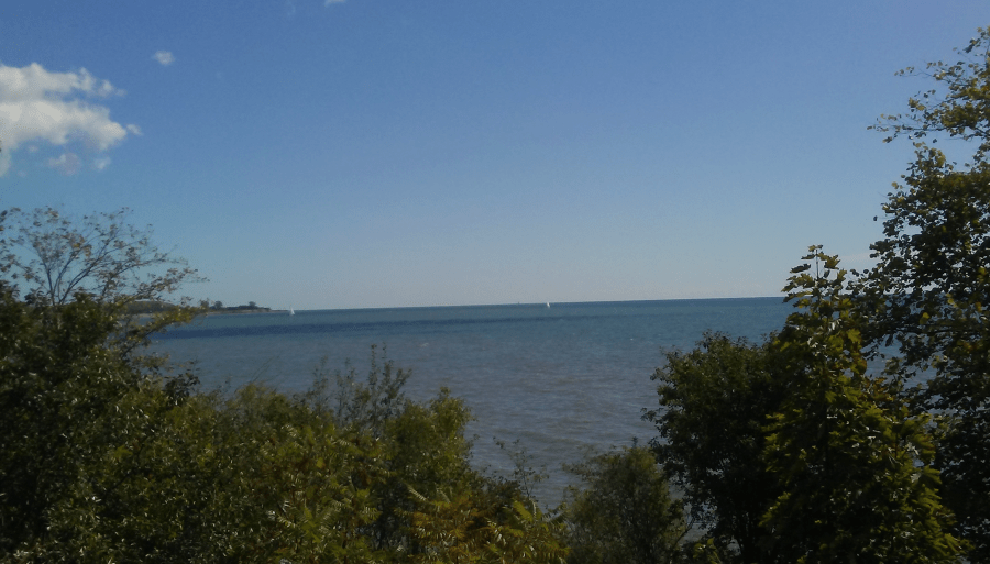 活在當下🐂Life is Good